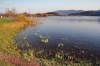 Filename=R23-2CerkJ-22.jpg
Filesize=179KiB
Dimensions=800x533
Date added=Apr 13, 2009 R23-2CerkJ-22.jpg