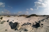 Filename=D31-2ElCotillo-139.jpg
Filesize=151KiB
Dimensions=800x533
Date added=Jun 08, 2009 D31-2ElCotillo-139.jpg