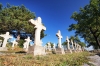 Filename=A16-3Kras-156.jpg
Filesize=215KiB
Dimensions=800x533
Date added=Nov 19, 2009 A16-3Kras-156.jpg