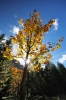 Filename=G10-Krma-049.jpg
Filesize=198KiB
Dimensions=480x720
Date added=Oct 14, 2009 G10-Krma-049.jpg