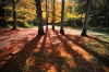Filename=G13-Krma-098.jpg
Filesize=247KiB
Dimensions=800x533
Date added=Oct 14, 2009 G13-Krma-098.jpg