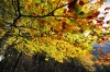 Filename=G15-Krma-101.jpg
Filesize=266KiB
Dimensions=800x533
Date added=Oct 14, 2009 G15-Krma-101.jpg