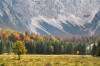 Filename=G23-Krma-212.jpg
Filesize=200KiB
Dimensions=800x533
Date added=Oct 14, 2009 G23-Krma-212.jpg