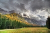 Filename=G24-Krma-234-Hpm.jpg
Filesize=178KiB
Dimensions=800x533
Date added=Oct 14, 2009 G24-Krma-234-Hpm.jpg