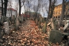 Filename=A03-Praga-020.jpg
Filesize=227KiB
Dimensions=800x533
Date added=Dec 08, 2009 A03-Praga-020.jpg