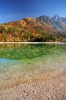 Filename=G18-2Vrsic-116.jpg
Filesize=203KiB
Dimensions=480x720
Date added=Nov 09, 2009 G18-2Vrsic-116.jpg