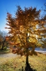 Filename=G19-2Vrsic-121.jpg
Filesize=202KiB
Dimensions=480x720
Date added=Nov 09, 2009 G19-2Vrsic-121.jpg