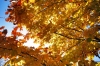 Filename=G20-2Vrsic-125.jpg
Filesize=226KiB
Dimensions=800x533
Date added=Nov 09, 2009 G20-2Vrsic-125.jpg