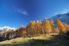 Filename=G26-2Vrsic-155.jpg
Filesize=189KiB
Dimensions=800x533
Date added=Nov 09, 2009 G26-2Vrsic-155.jpg