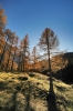 Filename=G28-2Vrsic-163.jpg
Filesize=207KiB
Dimensions=480x720
Date added=Nov 09, 2009 G28-2Vrsic-163.jpg