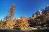 Filename=G31-2Vrsic-176.jpg
Filesize=177KiB
Dimensions=800x533
Date added=Nov 09, 2009 G31-2Vrsic-176.jpg