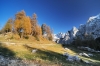 Filename=G32-2Vrsic-182.jpg
Filesize=174KiB
Dimensions=800x533
Date added=Nov 09, 2009 G32-2Vrsic-182.jpg