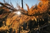 Filename=G36-2Vrsic-198.jpg
Filesize=187KiB
Dimensions=800x533
Date added=Nov 09, 2009 G36-2Vrsic-198.jpg