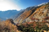 Filename=G37-2Vrsic-205.jpg
Filesize=207KiB
Dimensions=800x533
Date added=Nov 09, 2009 G37-2Vrsic-205.jpg