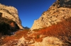 Filename=T03-Grintovec-010.jpg
Filesize=228KiB
Dimensions=800x533
Date added=Nov 24, 2009 T03-Grintovec-010.jpg