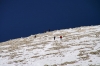 Filename=T26-Grintovec-129.jpg
Filesize=148KiB
Dimensions=800x533
Date added=Nov 24, 2009 T26-Grintovec-129.jpg