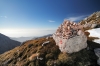 Filename=T34-Grintovec-166.jpg
Filesize=177KiB
Dimensions=800x533
Date added=Nov 24, 2009 T34-Grintovec-166.jpg