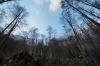 Filename=T45-Grintovec-242.jpg
Filesize=222KiB
Dimensions=800x533
Date added=Nov 24, 2009 T45-Grintovec-242.jpg